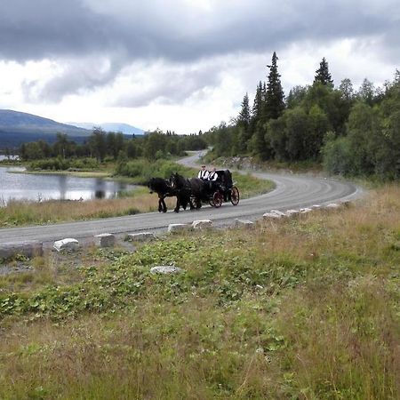 Apartmán Bergfosshytta 1 Sor Ron Exteriér fotografie