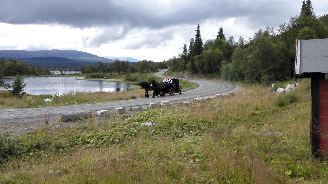 Apartmán Bergfosshytta 1 Sor Ron Exteriér fotografie
